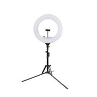 20-дюймовая прямая трансляция Selfie Beauty Video LED Circle Ring Light